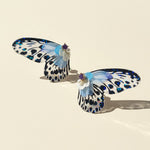Butterfly-shaped earrings with blue and black patterns on a beige background