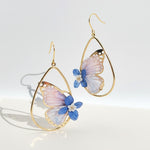 Butterfly-shaped earrings with gold frames on a light background